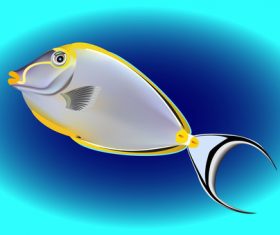 Multicolored skin fish sea animal vector 17