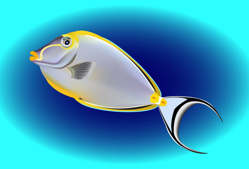 Multicolored skin fish sea animal vector 17