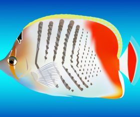 Multicolored skin fish sea animal vector 18