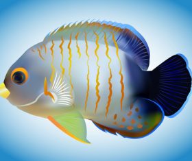 Multicolored skin fish sea animal vector 20