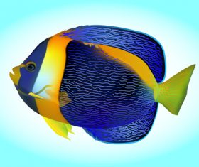 Multicolored skin fish sea animal vector 21