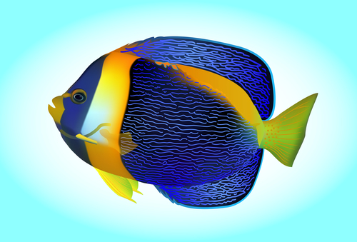 Multicolored skin fish sea animal vector 21