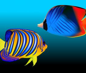 Multicolored skin fish sea animal vector 22