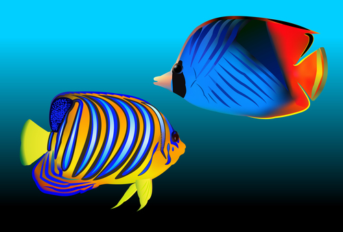 Multicolored skin fish sea animal vector 22