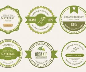 Natural eco badge vector material