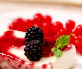 Panna cotta with fresh berries Stock Photo 02