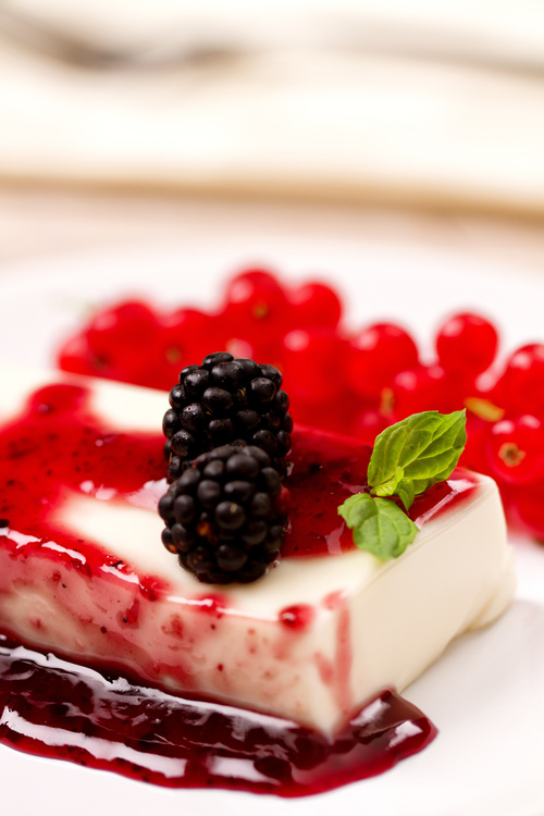Panna cotta with fresh berries Stock Photo 02 free download