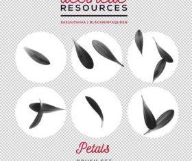 Petals Photoshop Brushes