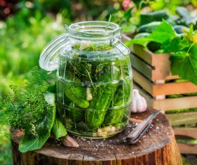 Pickled cucumber Stock Photo 02