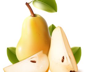 Realistic pear design vectors