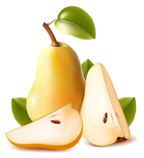Realistic pear design vectors