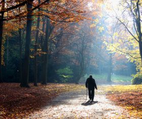 Senior man walking in autumn park Stock Photo