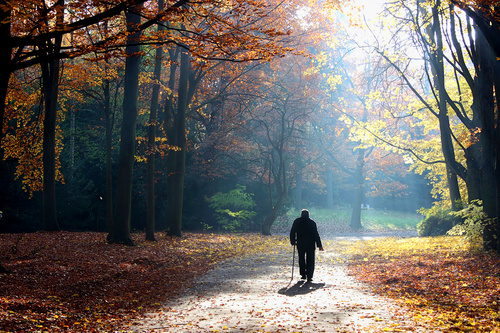 Senior man walking in autumn park Stock Photo