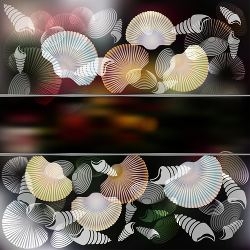 Shell with blured background vector
