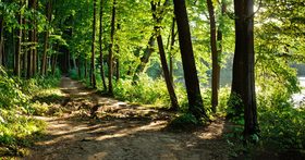 Small road by the river Stock Photo