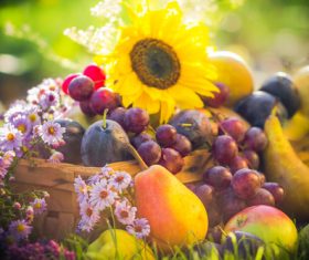 Stock Photo Fruits and flowers
