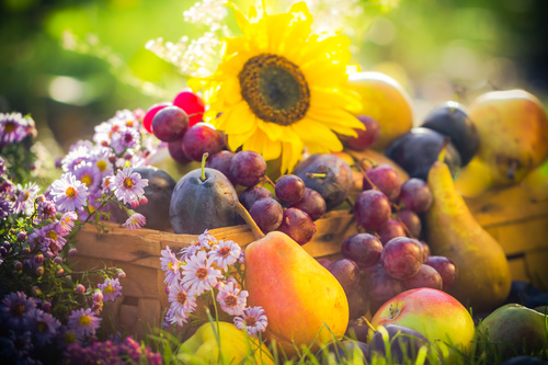 Stock Photo Fruits and flowers