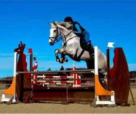 Stock Photo Horse racing across obstacles 01
