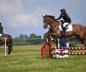 Stock Photo Horse racing across obstacles 03