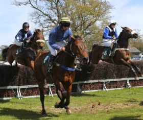 Stock Photo Horse racing across obstacles 04
