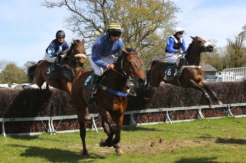 Stock Photo Horse racing across obstacles 04