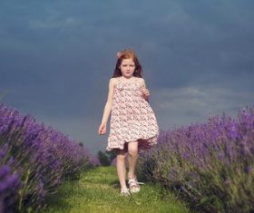 Stock Photo Little girl in lavender field