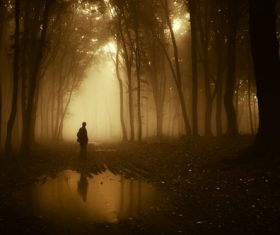 Stock Photo Man standing in the misty woods