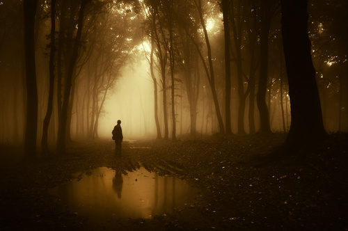 Stock Photo Man standing in the misty woods