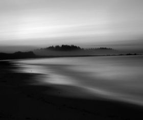 Stock Photo Misty sea forest photography