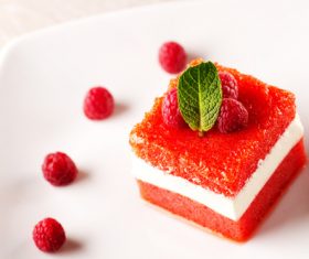 Stock Photo Panna cotta 03