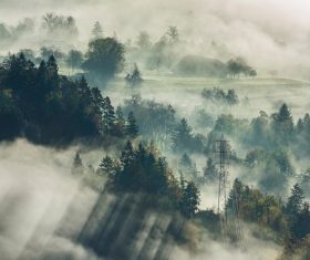 Stock Photo Photography of the woods in the dense fog on the hillside