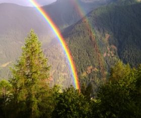 Stock Photo Rainbow after forest rain