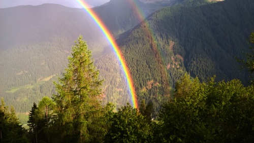 Stock Photo Rainbow after forest rain