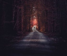 Stock Photo Small road scenery photography in the dusk woods