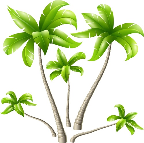 Summer vacation beach coconut tree vector material
