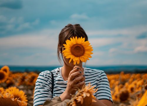 Sunflower was covering his face figure photography Stock Photo