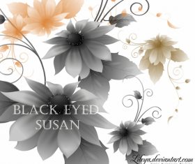 Susan flower Photoshop Brushes