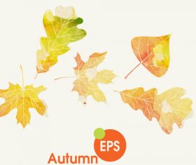Watercolor autumn leaves vectors set 01