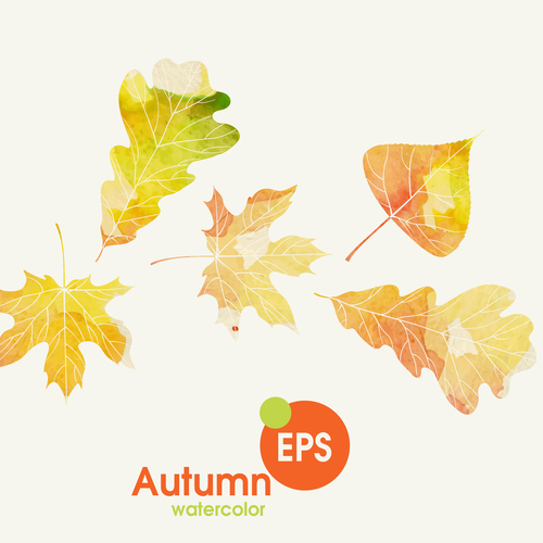 Watercolor autumn leaves vectors set 01