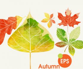 Watercolor autumn leaves vectors set 02