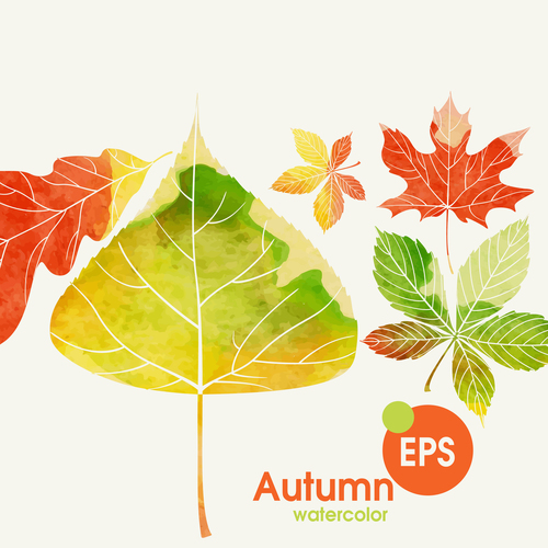 Watercolor autumn leaves vectors set 02