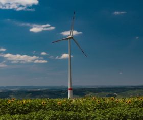 Windmill in sunflower field Stock Photo