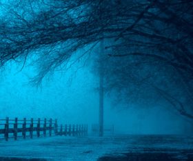 Winter blues Stock Photo