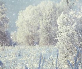 Winter snow scene Stock Photo 05