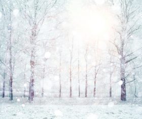 Winter snow scene Stock Photo 07