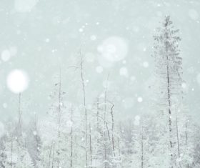 Winter snow scene Stock Photo 08