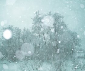 Winter snow scene Stock Photo 09