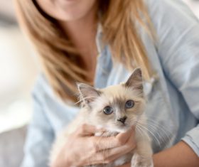 Woman with kitten on lap Stock Photo 01