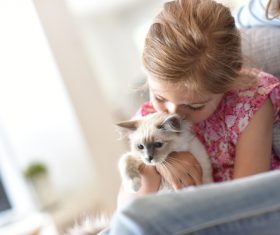 Woman with kitten on lap Stock Photo 02