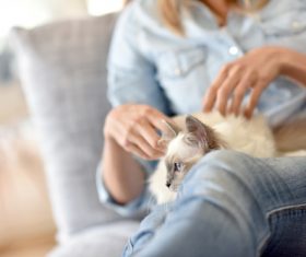Woman with kitten on lap Stock Photo 03